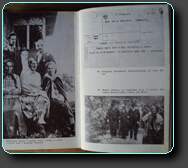 Click to Enlarge