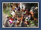 4 Taxco (42)